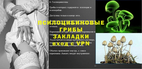 соль ск Алексин